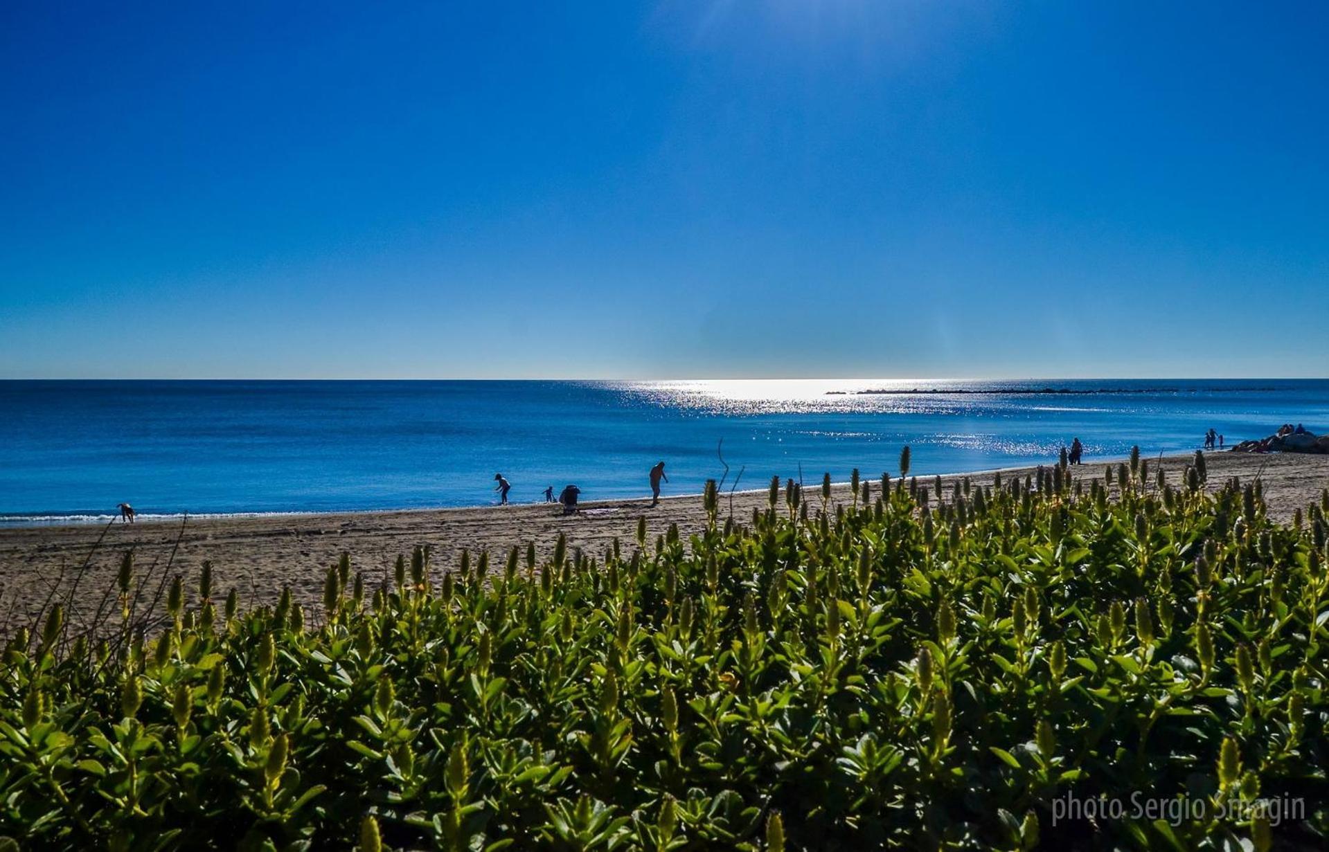 812 Benalbeach. 1ºlinea De Playa. Vistas A La Piscina Y La Montana. Apartamento